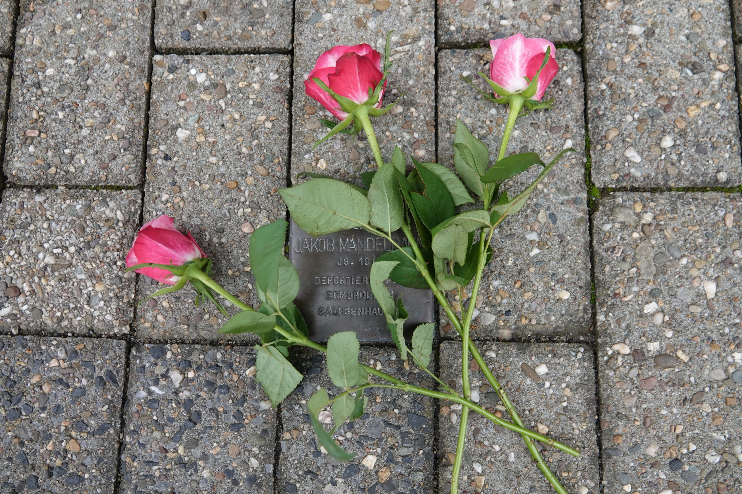 Auseinandersetzung mit der Vergangenheit